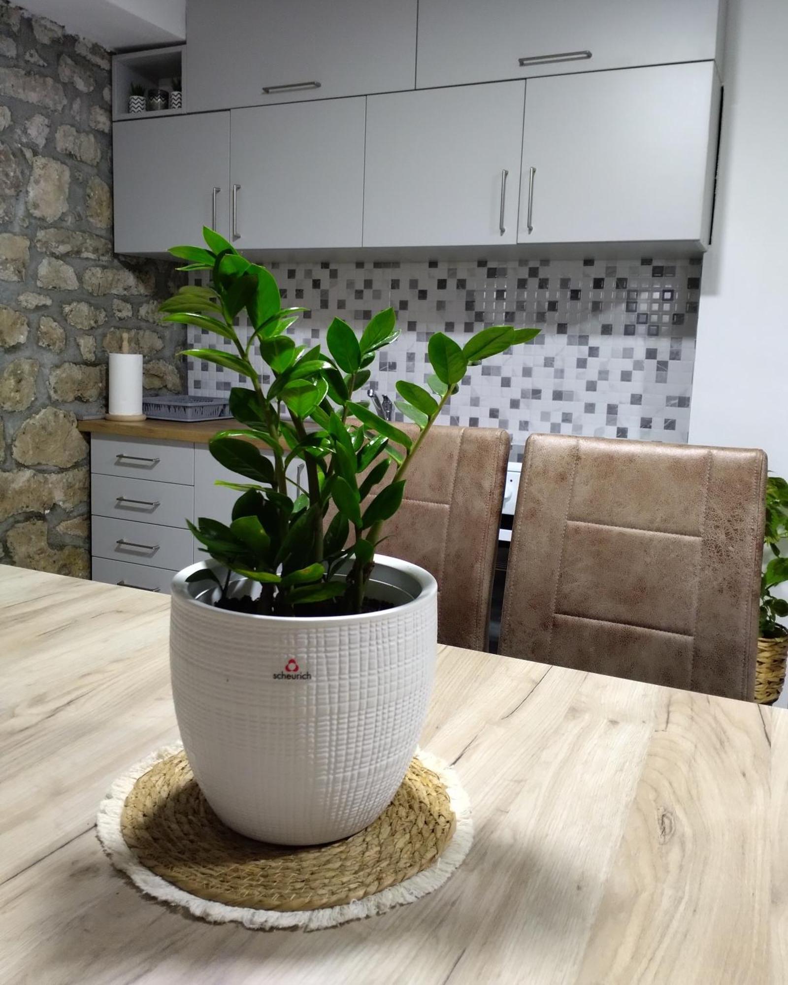 Apartmani Dumezic Bar Room photo